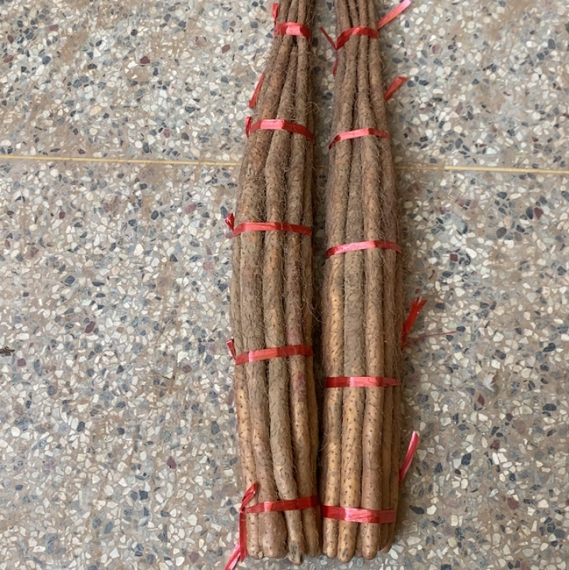 铁杆山药