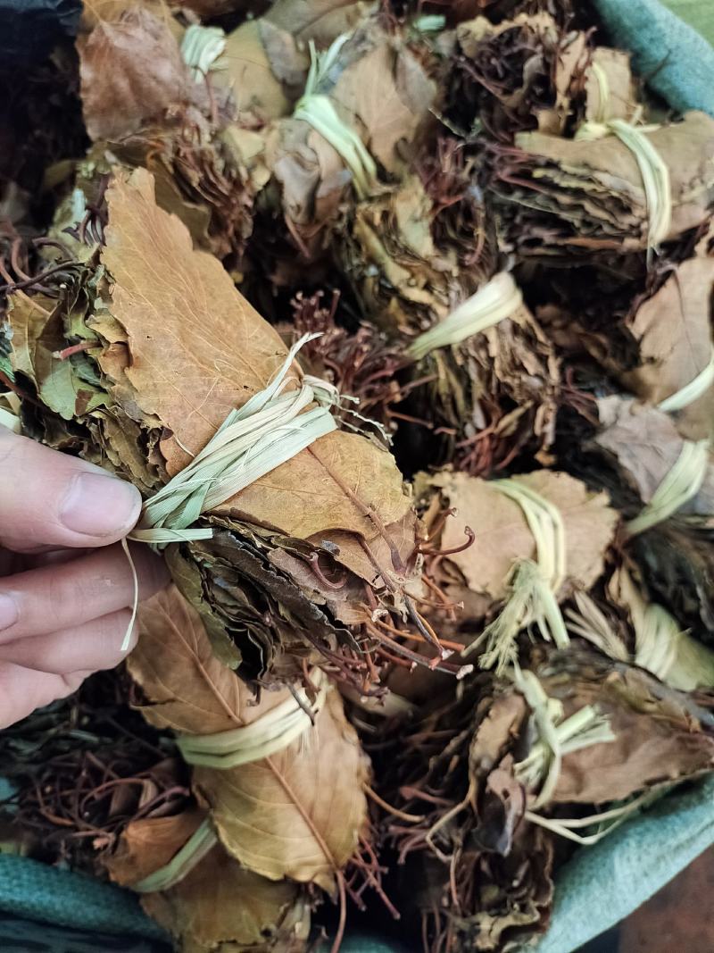 山楂叶，中药材山楂叶批发零售，产地一手货源