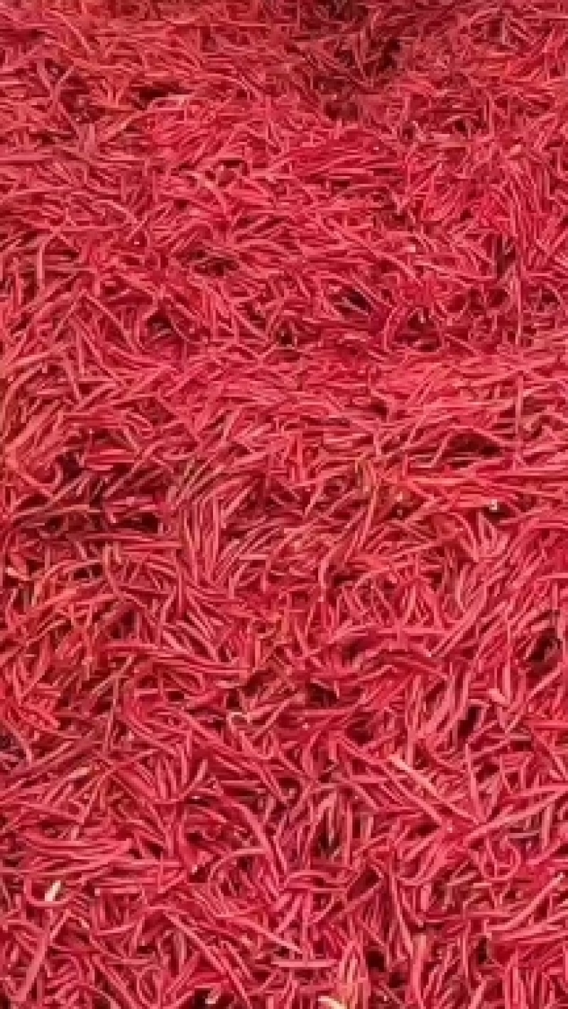 【推荐】宣威市丘北辣椒质量保证欢迎采购质量保证