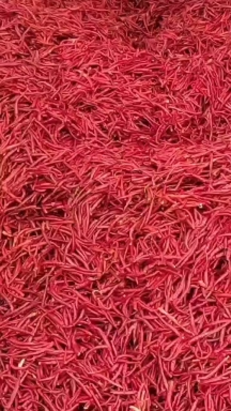 【推荐】宣威市丘北辣椒质量保证欢迎采购质量保证
