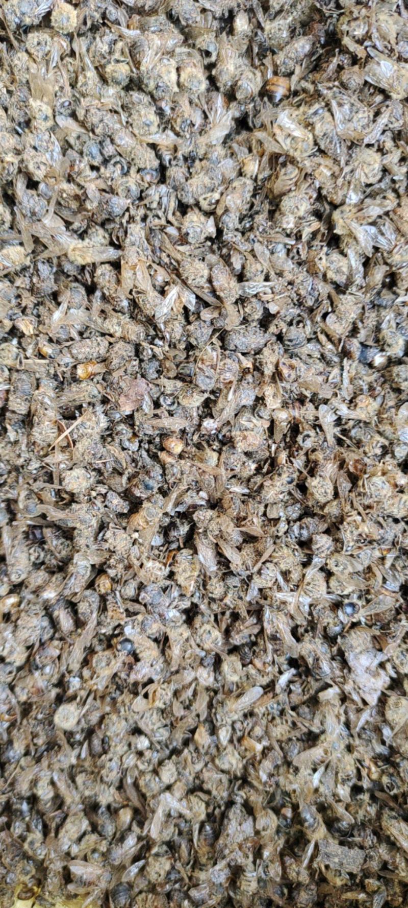 蜜蜂干产品购销有卖买的一亩田联系欢迎采购下单