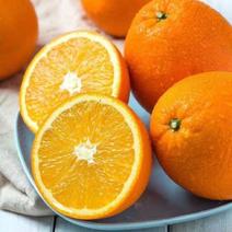 纽菏尓脐橙，秭归甜橙，现订现摘，自家果园无中间商。