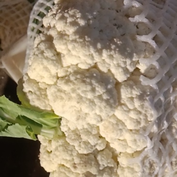 精品松花菜大量有货需要老板在一亩田与我联系