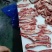牛腹肉条纯干牛肋条适合烧烤火锅价格不高！
