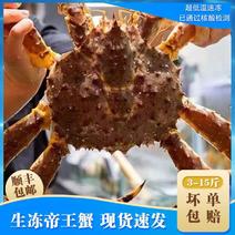 帝王蟹海鲜鲜冻水产特大螃蟹3-10斤冰鲜生冻超大皇帝蟹顺