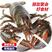 鲜冻波士顿大龙虾超大龙虾波龙海鲜水产澳洲澳龙波士顿龙虾顺