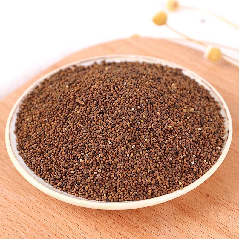 菟丝子中药材菟丝子粉大小菟丝子菟丝子新货内