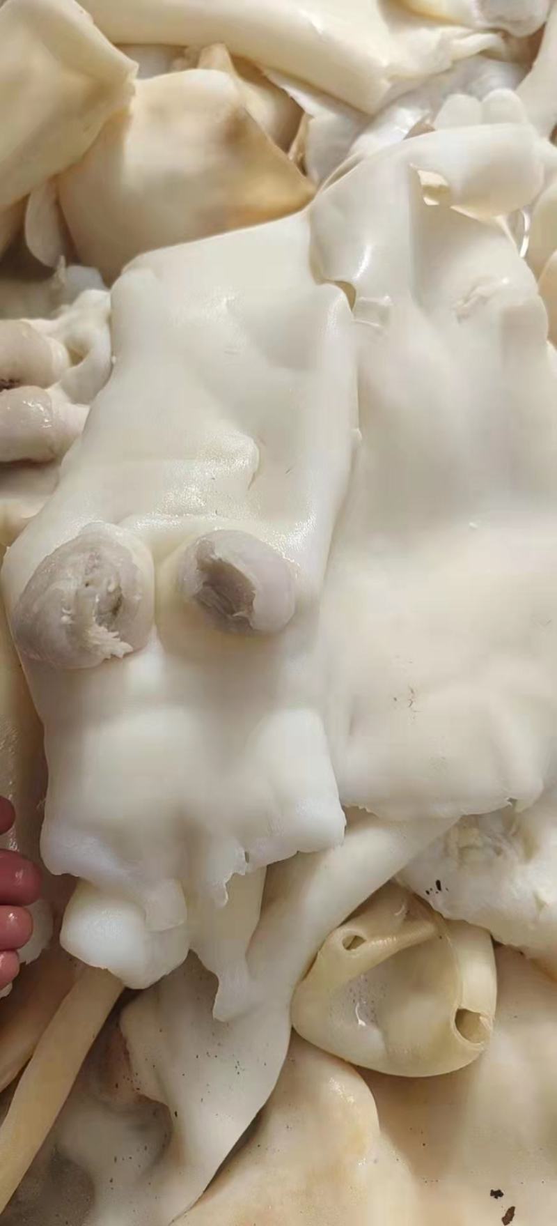 真空包装熟牛蹄皮冻品价格便宜欢迎各位老板前来咨询