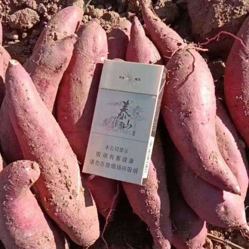 山东红薯西瓜红红薯大量现货窖藏红薯大量现货货源充足