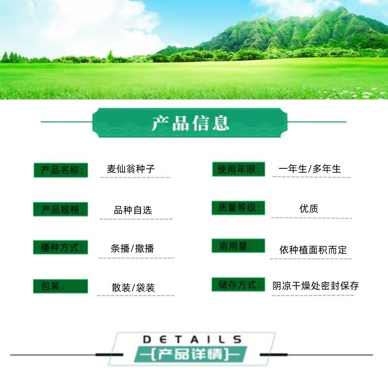 麦仙翁花种子庭院买毒草四季易种阳台种子芽率高室内盆栽绿化