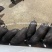 正宗土黑猪15-40斤活体幼崽猪肉香猪种猪食用猪跑山猪很