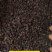 紫茉莉种子地雷花鲜花籽家庭阳台盆栽易活胭脂花夜来香种籽驱
