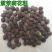 紫茉莉种子地雷花鲜花籽家庭阳台盆栽易活胭脂花夜来香种籽驱