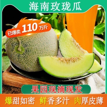 海南哈密瓜玫珑蜜瓜新鲜哈密瓜水果批发玫珑网纹瓜