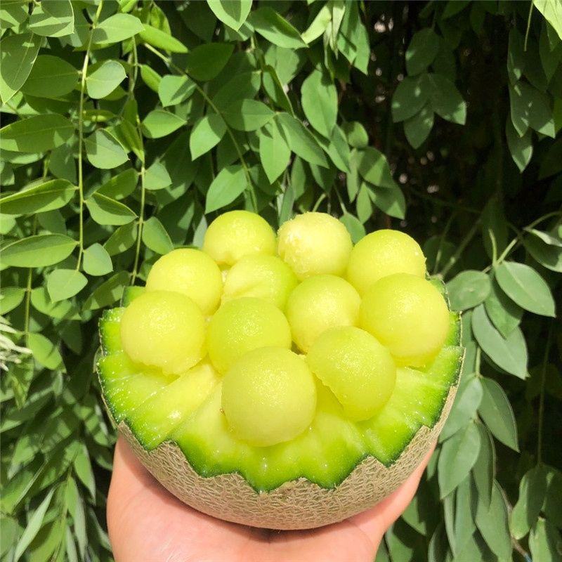 海南哈密瓜玫珑蜜瓜新鲜哈密瓜水果批发玫珑网纹瓜