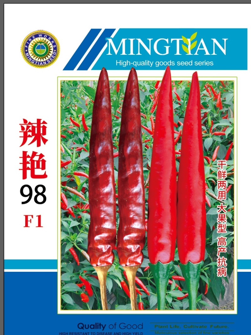 朝天椒种子，辣椒种子干鲜两用