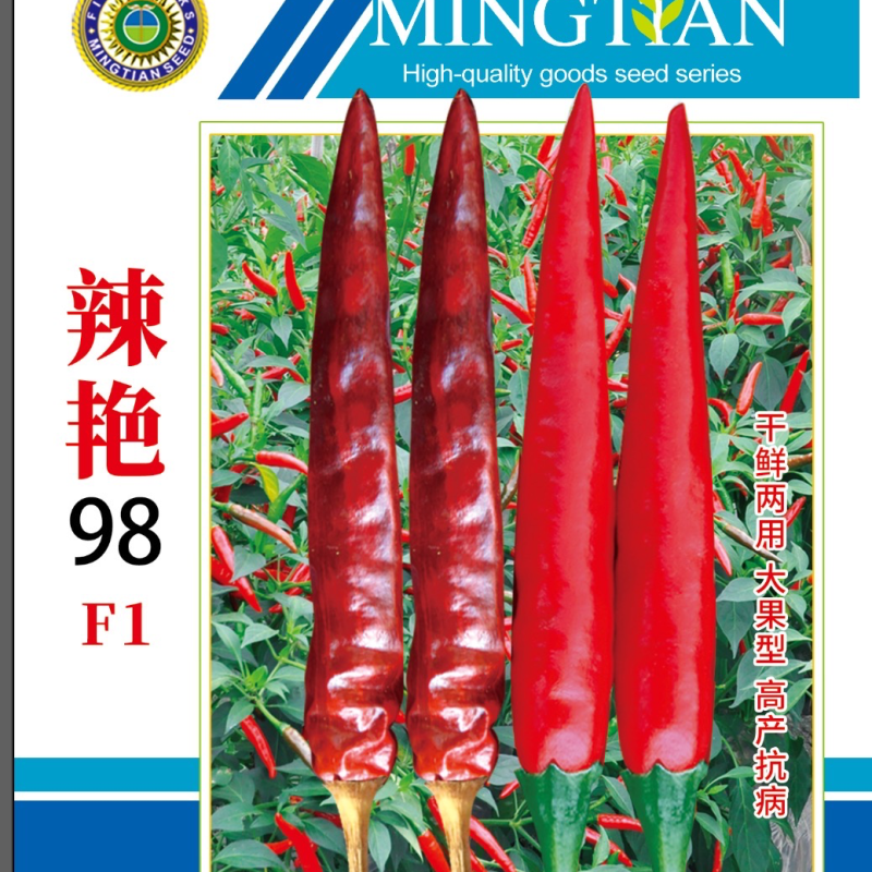 朝天椒种子，辣椒种子干鲜两用