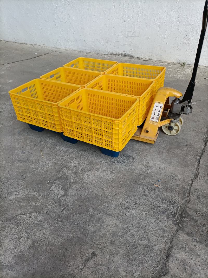 洗果厂专用塑料托盘