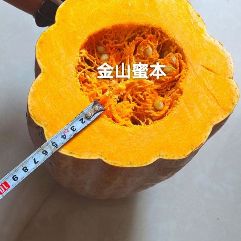 绿领大蜜本南瓜种子超甜粉面蜜本甜南瓜高产耐贮运四季蔬菜种
