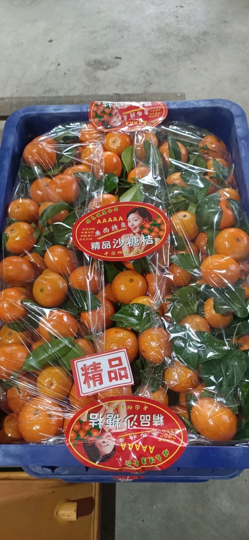 砂糖橘