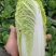 芹菜辣椒
