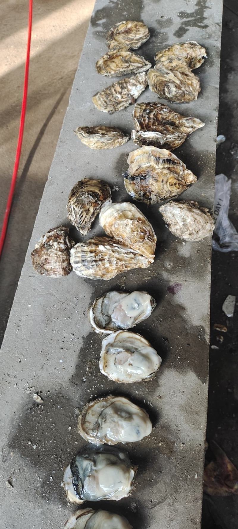 净化无沙货寻找合作伙伴