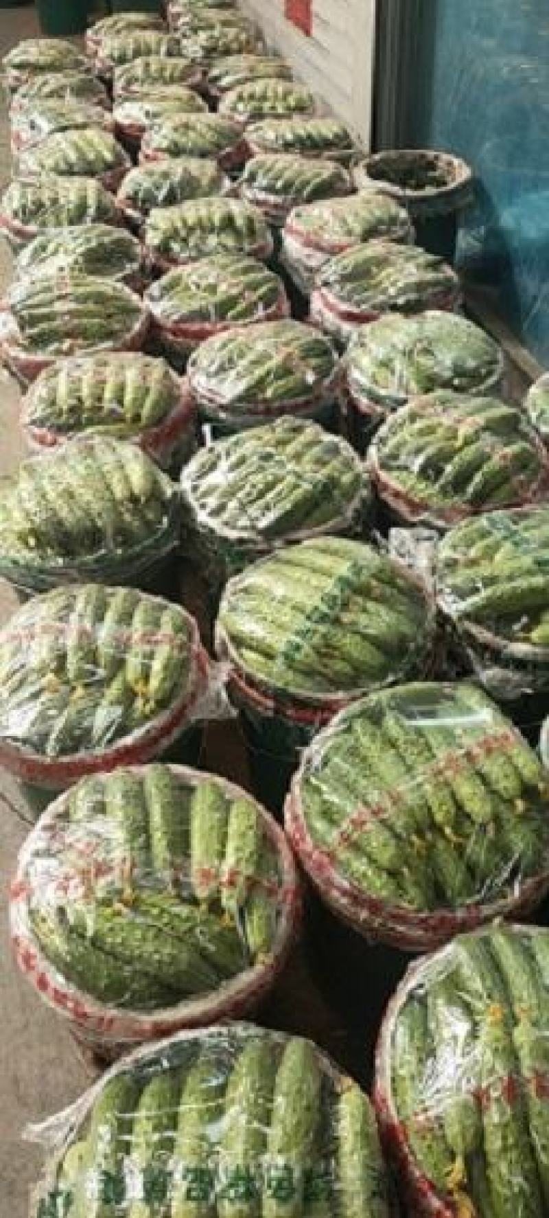 精品旱黄瓜，产地直发，价格实惠，品质保证！
