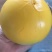 黄晶果苗