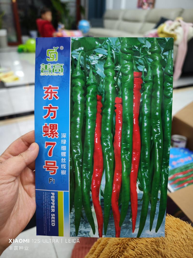 东方螺7号螺丝辣椒种子，深绿细螺丝线椒种子，1000粒