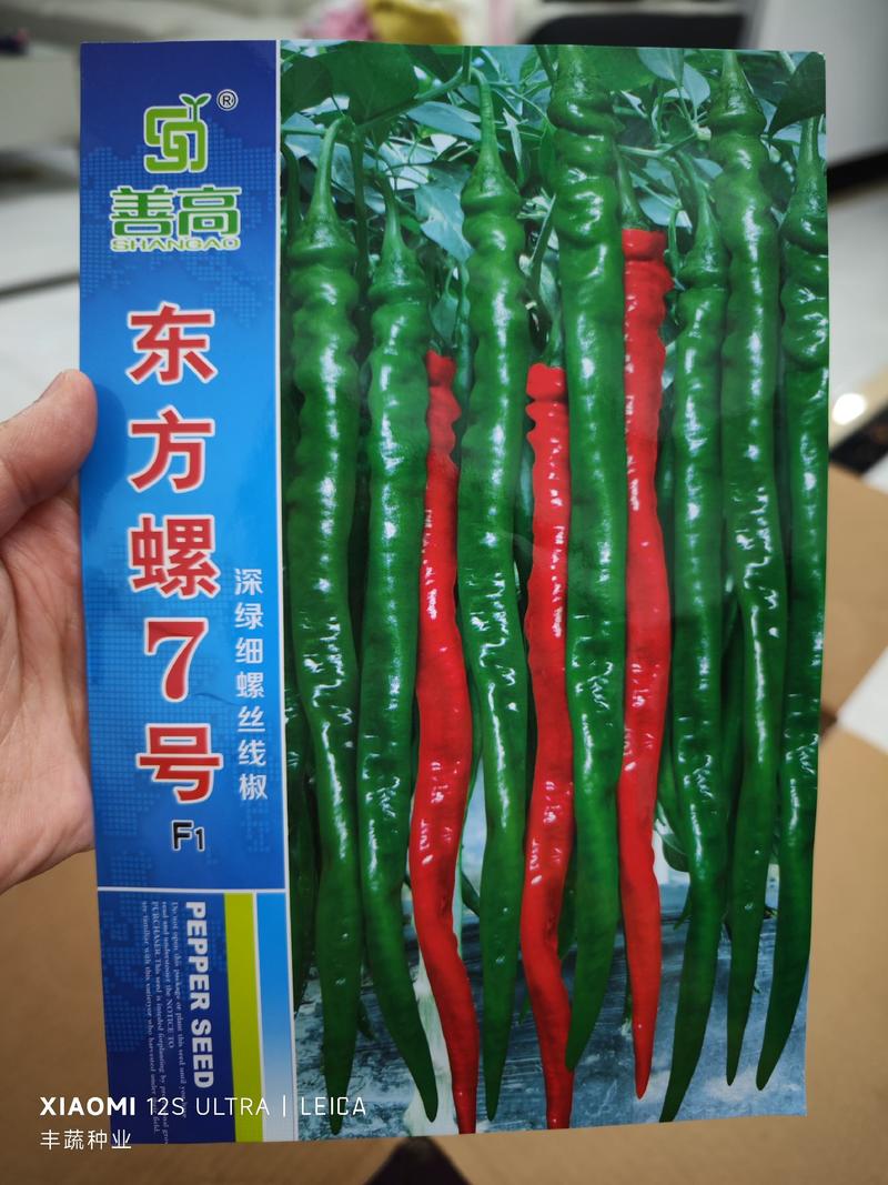 东方螺7号螺丝辣椒种子，深绿细螺丝线椒种子，1000粒
