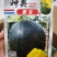 神奥墨宝西瓜种子，200粒