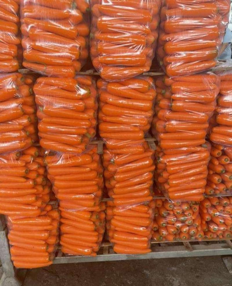 《精选》河南通许胡萝卜，水洗三红胡萝卜，货源充足，基地直供