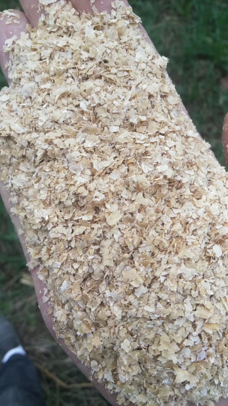 大量烘干麸皮，全国发货，对接大型批发商，欢迎来电咨询