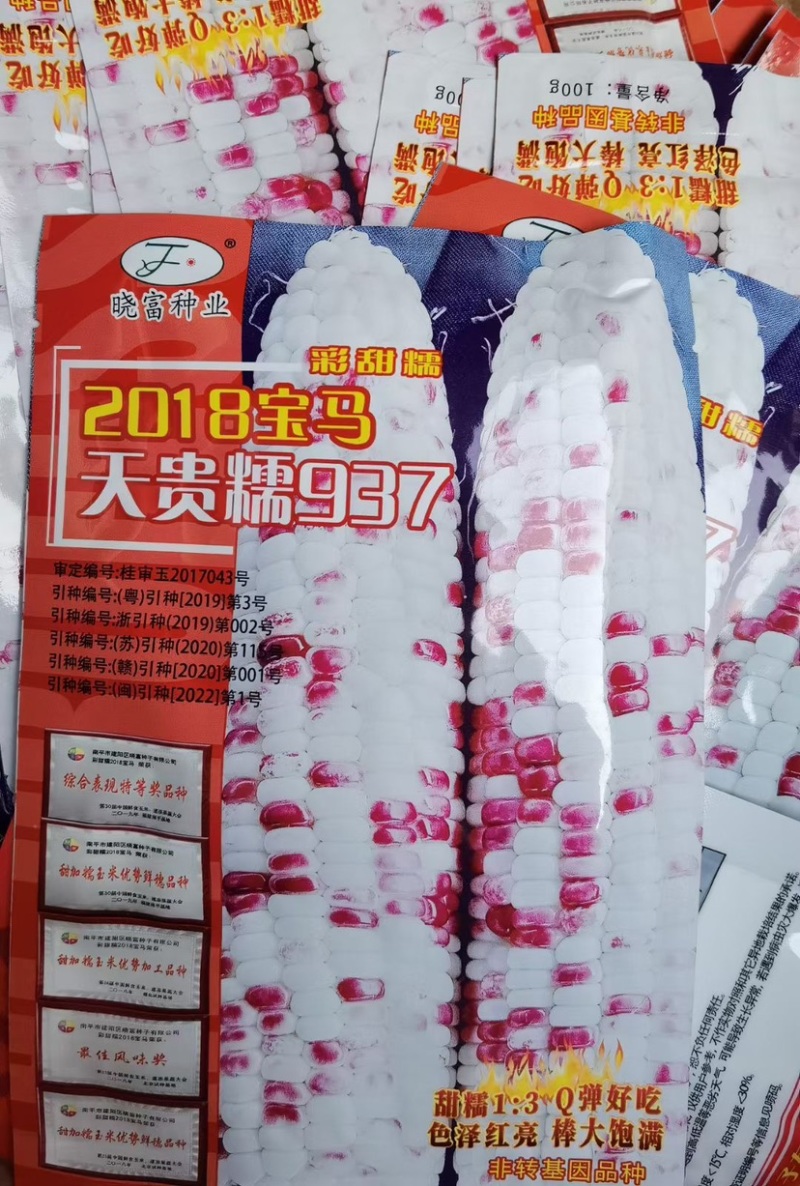 【正宗】晓富种业宝马2018/天贵糯937彩甜糯玉米种子