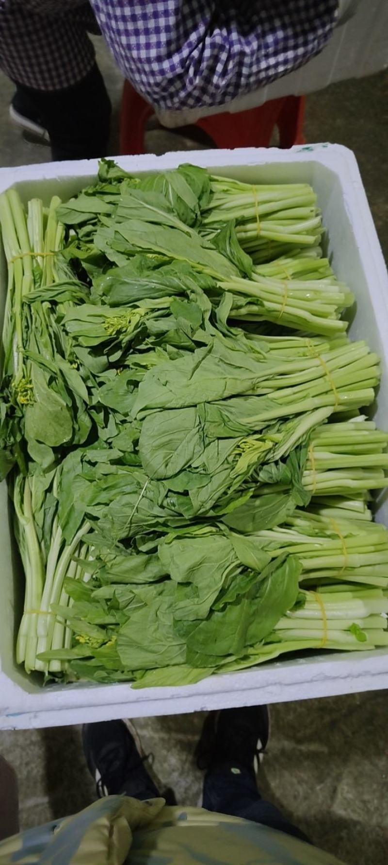 白菜苔