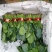 精品小把菠菜，长期供应，无公害产品，有需要的一亩联系我，
