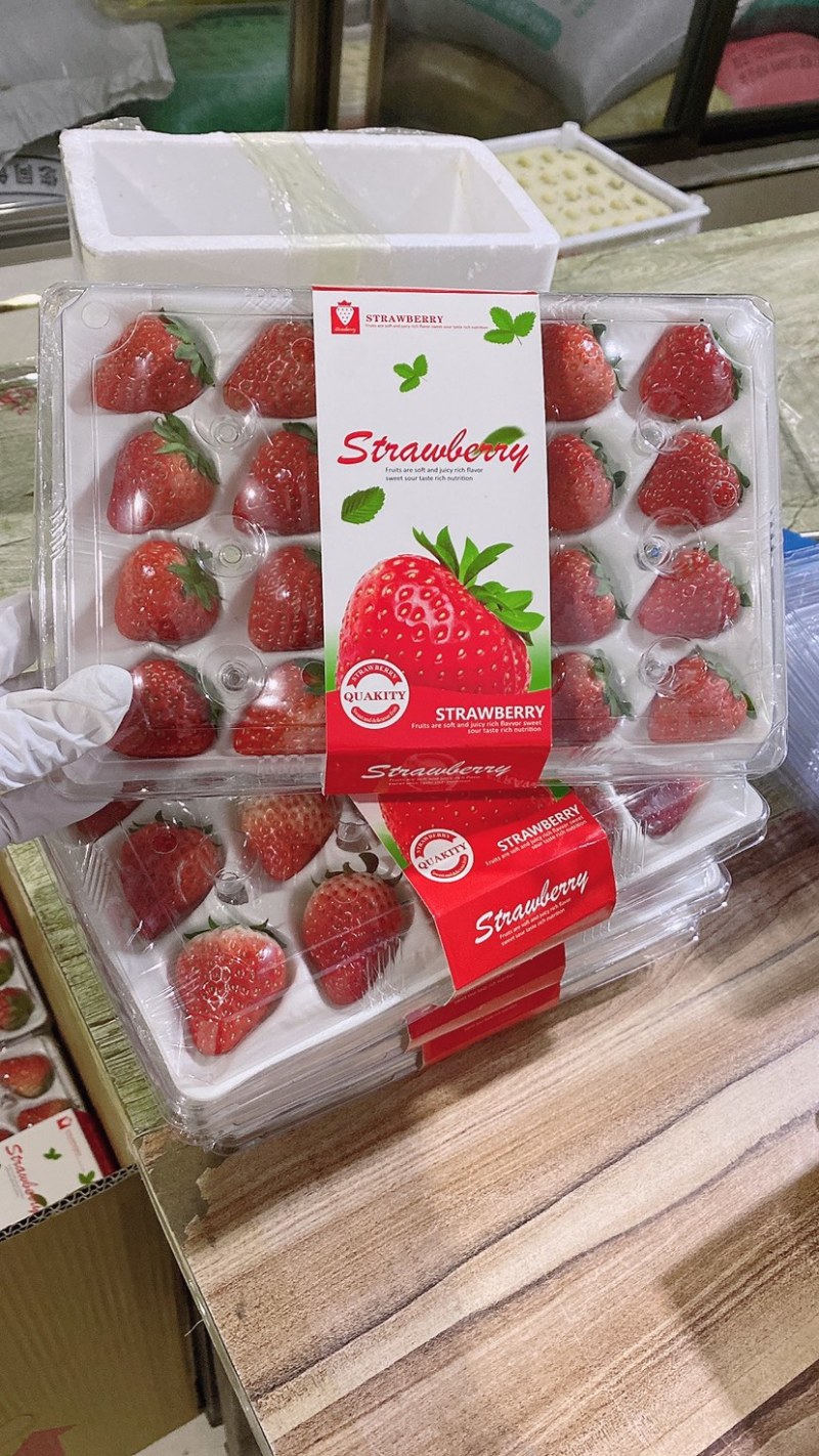 丹东九九草莓20粒精品胶盒，烘焙果，产地直发