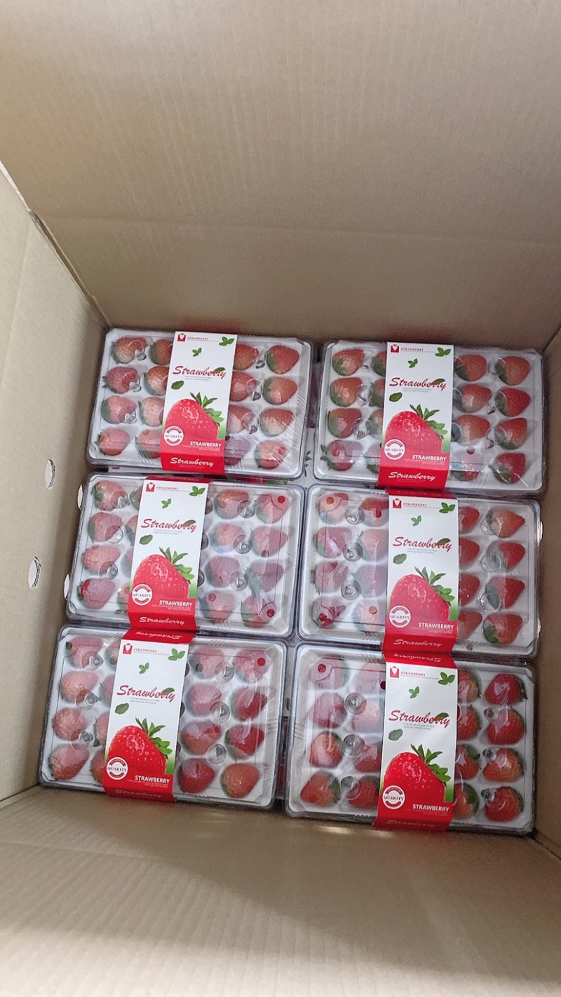 丹东九九15粒精品水晶盒，产地直供，烘焙专用，