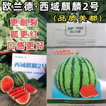 西域麒麟2号西瓜种子籽欧兰德超美都8424麒麟西瓜种子