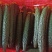 河北邯郸，大量供应水果黄瓜精品黄瓜，现摘现发，电商，超市
