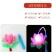 元宵节热卖闪光荷花手提灯笼卡通小六角宫灯儿童玩具灯