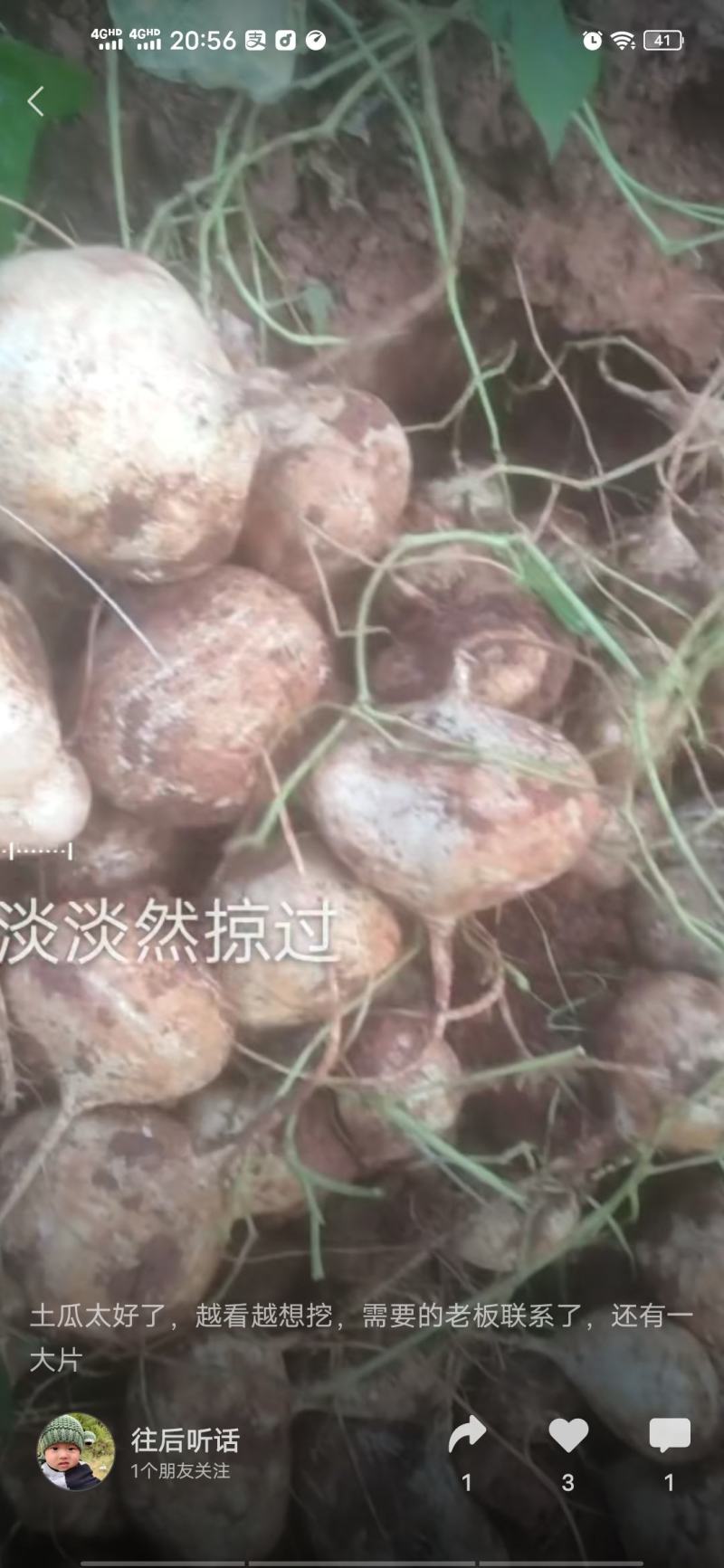 我要卖土瓜