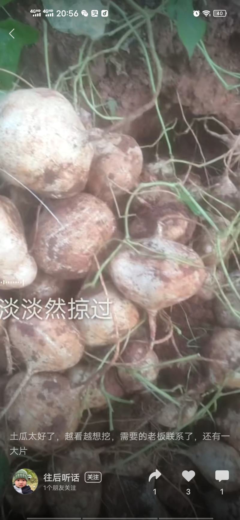 我要卖土瓜