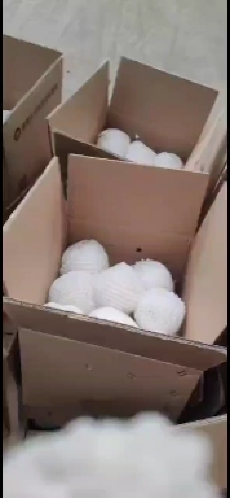 辽宁省葫芦岛市绥中王琳苹果口感甜脆清香，一件代诚招代理商