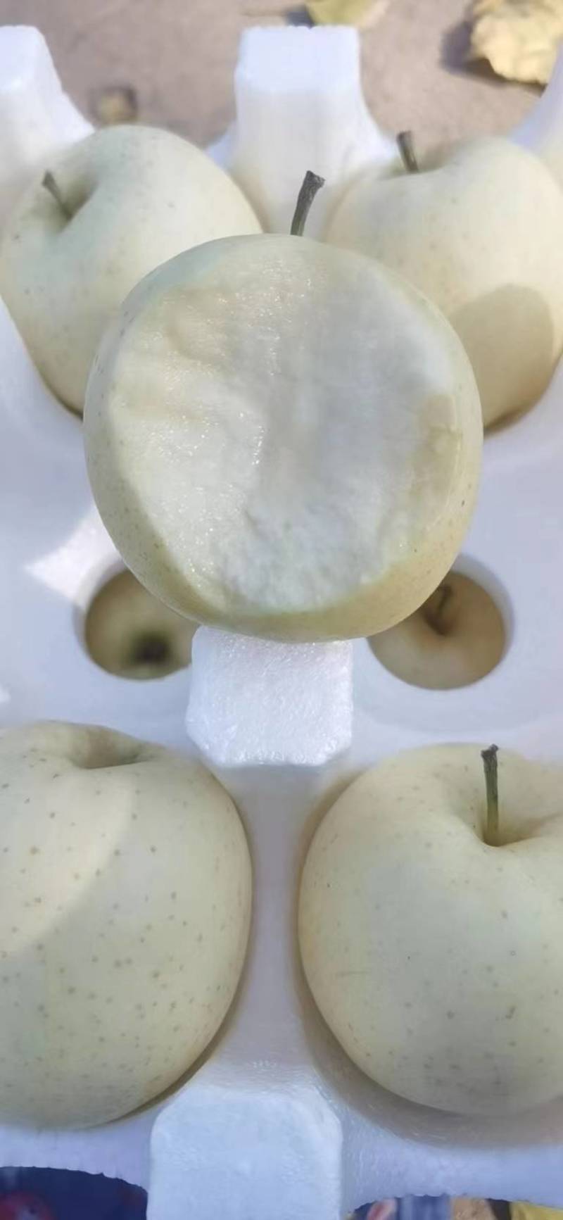 辽宁省葫芦岛市绥中王琳苹果口感甜脆清香，一件代诚招代理商