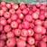 山东精品红富士苹果大量出库口感脆甜果面干净代发全国质量好