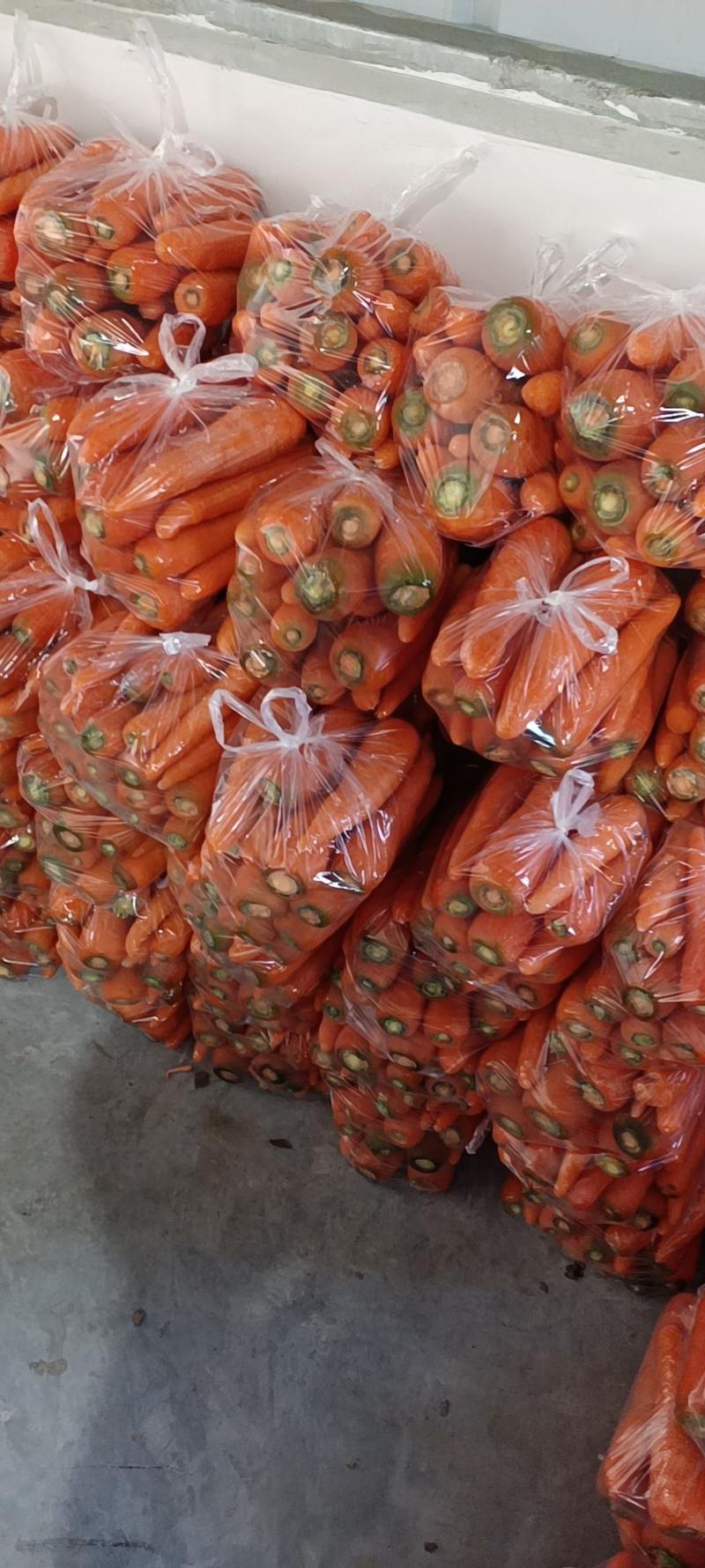 大量供应市场三红胡萝卜，各种规格包装，支持整车，量大优惠
