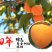2024年陕西富平霜降流心吊柿饼农家自制办公室零食送礼佳