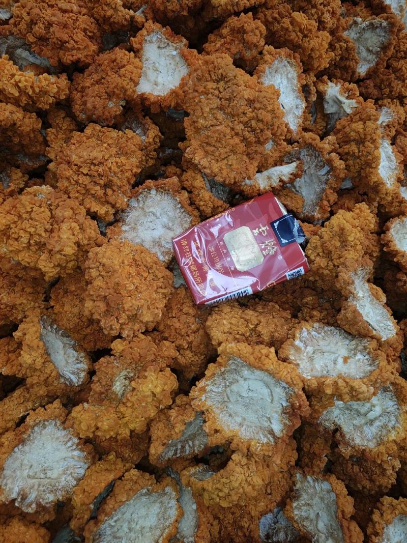 正规金耳工厂365天天鲜