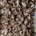 精品香菇包度好6公分左右全年有货质量稳定白面菇